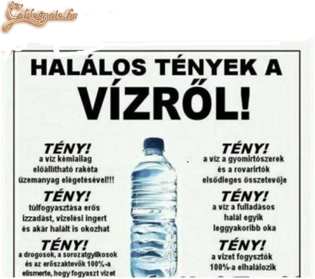 ne vizet