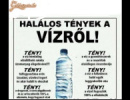 ne vizet