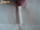 vegyes képek - 10. kép