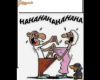 Ismerkedés!!!!!!