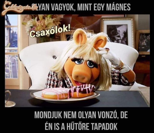 CSAXÓLOK