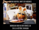 CSAXÓLOK