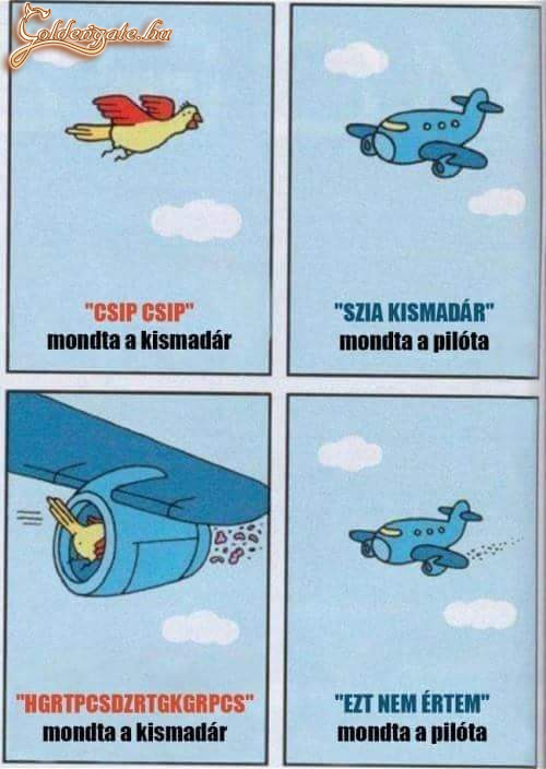 Beszélgetés 