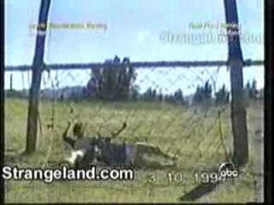 Egy kis szórakozás...