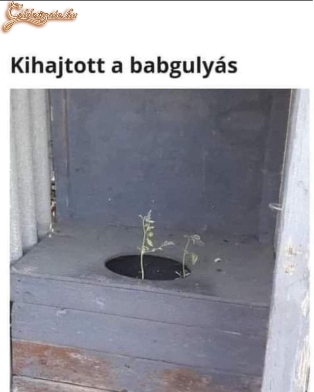 A természet!!!