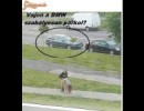 Szerintem szabályos!!!!