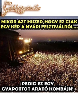 Érzékcsalódás!!!