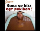Óvatosan!!!!