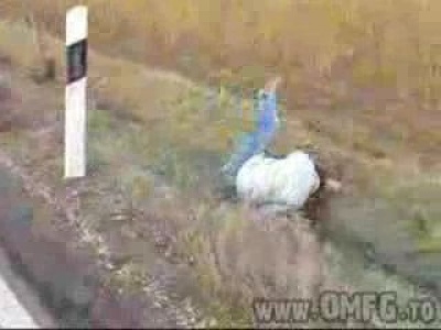 Az olimpiára készülve: :D