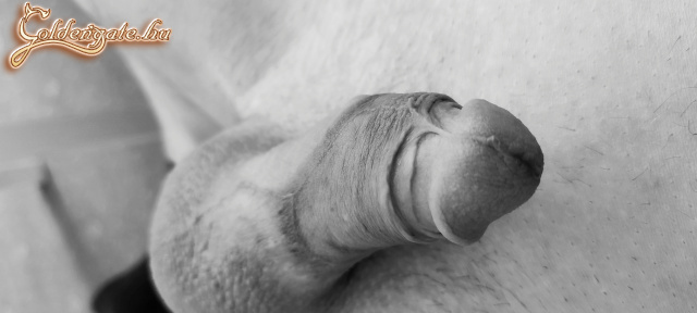 Feleségem kérésére  - 28. kép