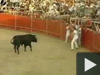Ugorjunk bikát.