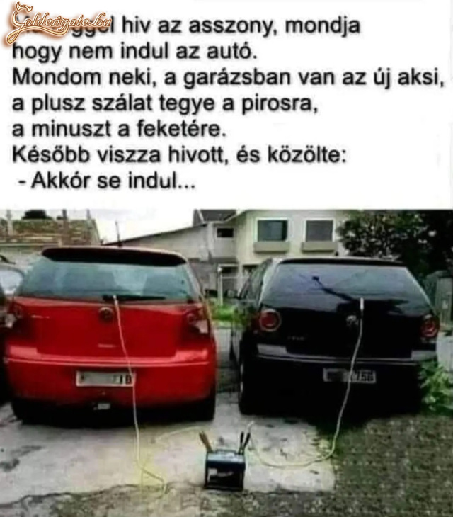 Nem egyszerű velük, az biztos.