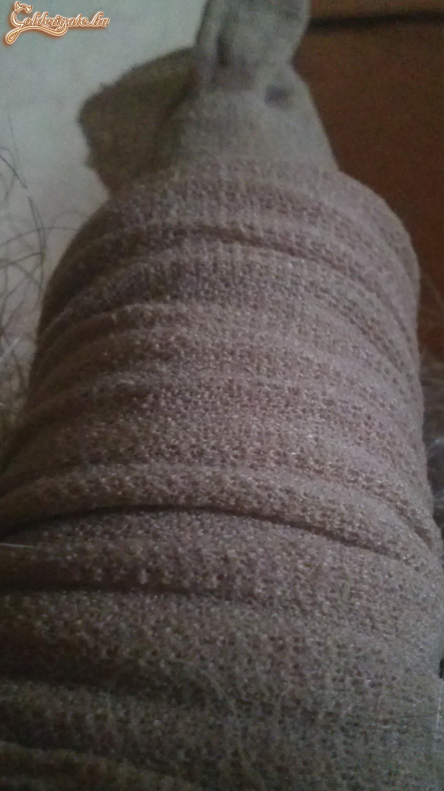 A férjem kicsi pöpöse - 31. kép