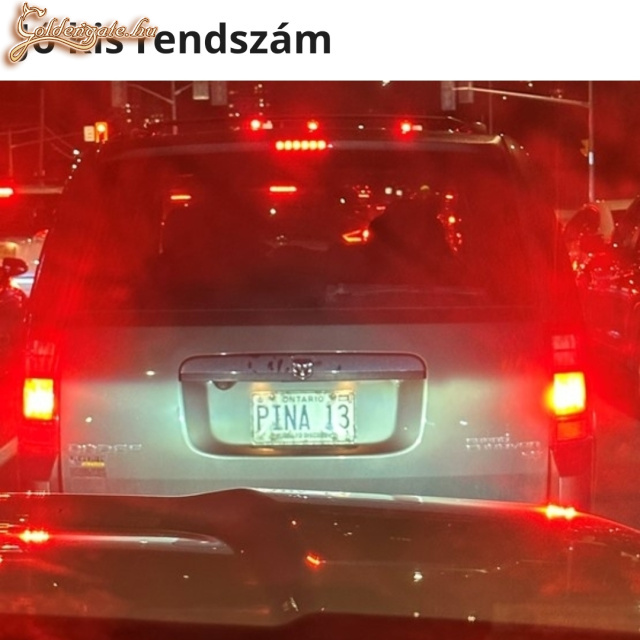 13 pina