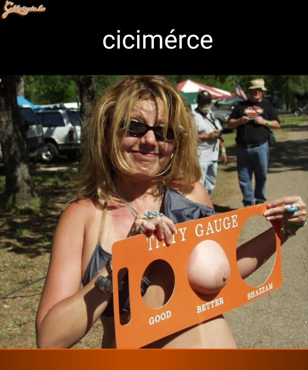 Cicimérce