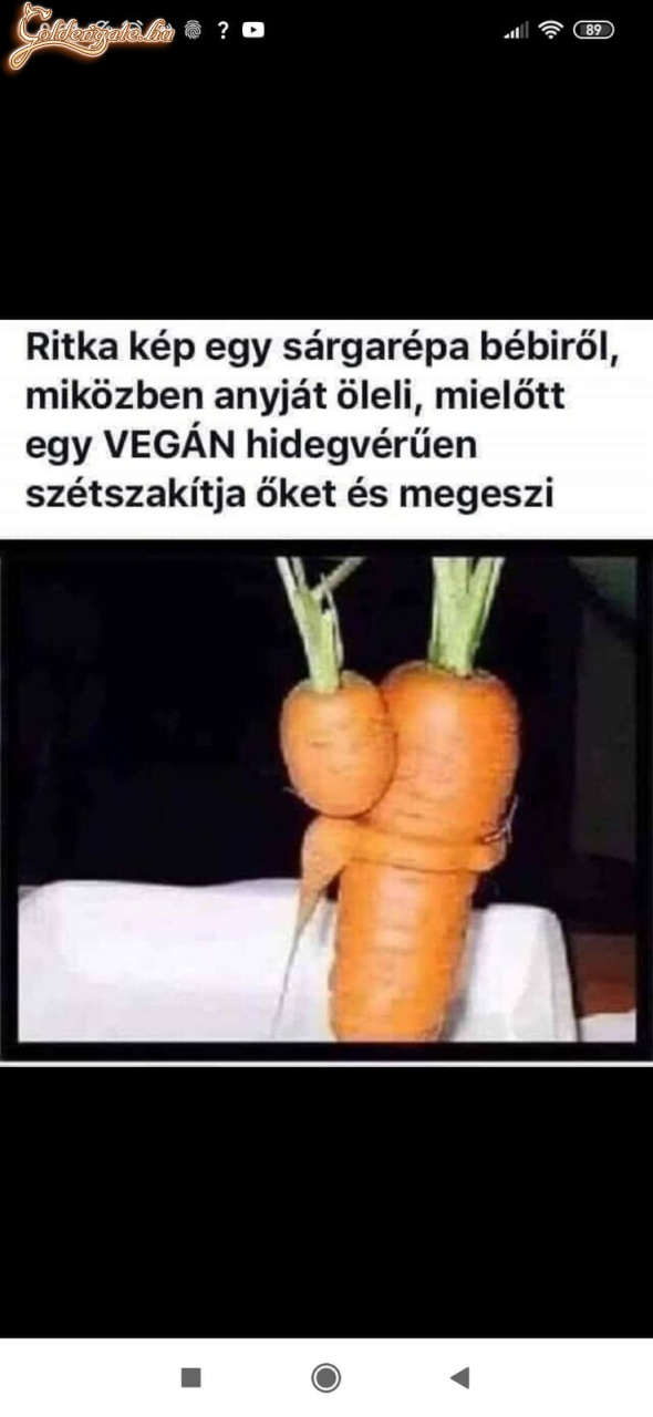 Ezek után másképp nézek a vegánokra :(