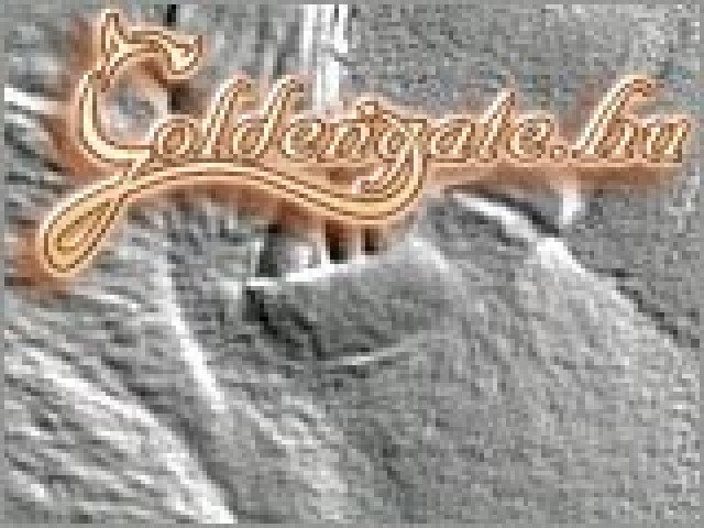 GoldenGate 7. sorozata - 6. kép