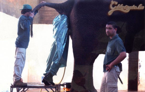 Azt hiszed szar a munkád?