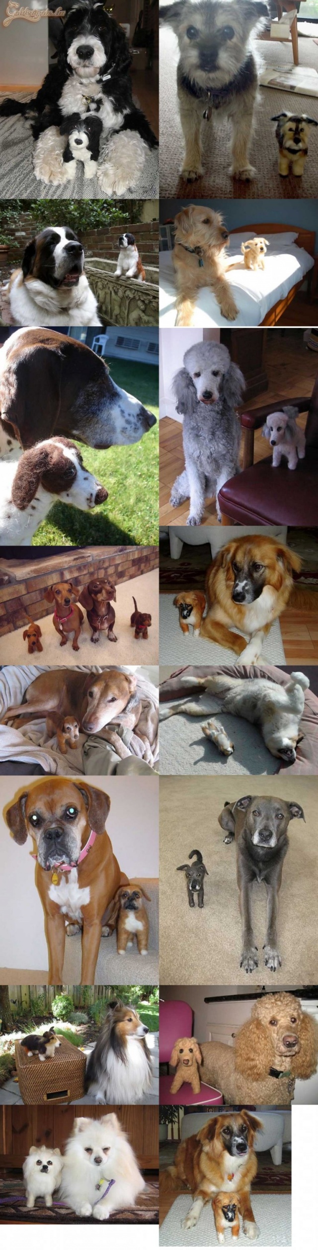 Játékkutya modellek