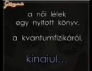 Tények