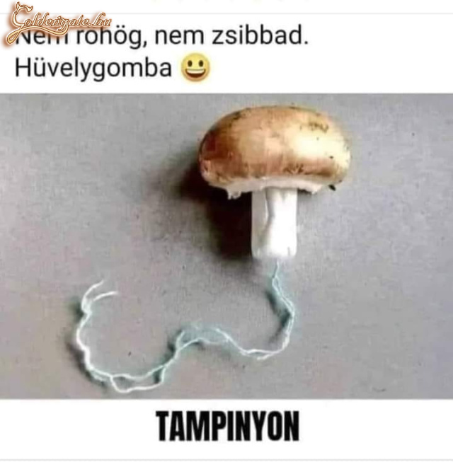 szezon