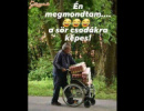 iszok 