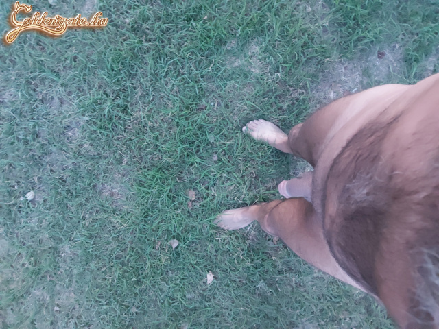 Egy kis unaloműzés. - 13. kép