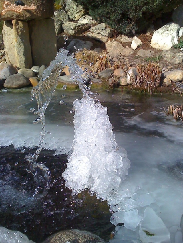 A természet csodái