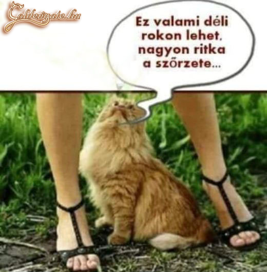 Közeleg a tél