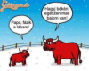 És tényleg!!!