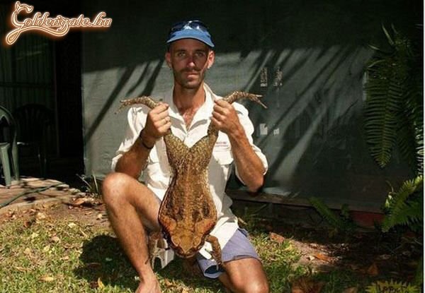 Finom sült béka lesz ebből!