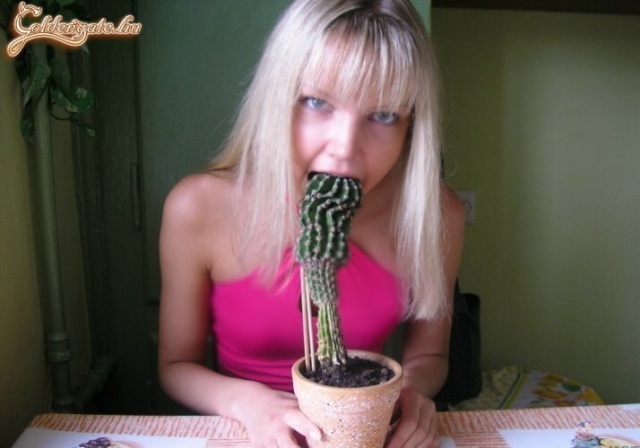 Na, gyerünk mélytorokra!