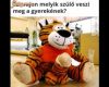 Plüsstigris felnőtteknek