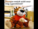 Plüsstigris felnőtteknek