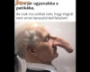 viagra