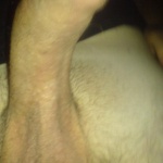 délalföld 2. sorozata - 4. kép