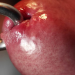 első próba - 11. kép