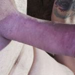 Kő kemény  - 7. kép