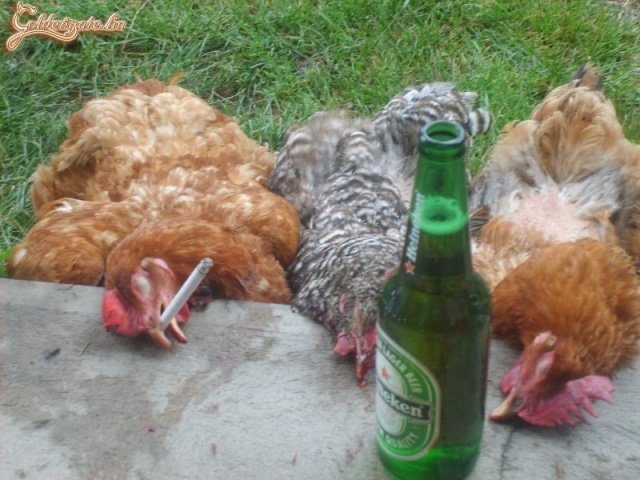 Egy nehéz nap után