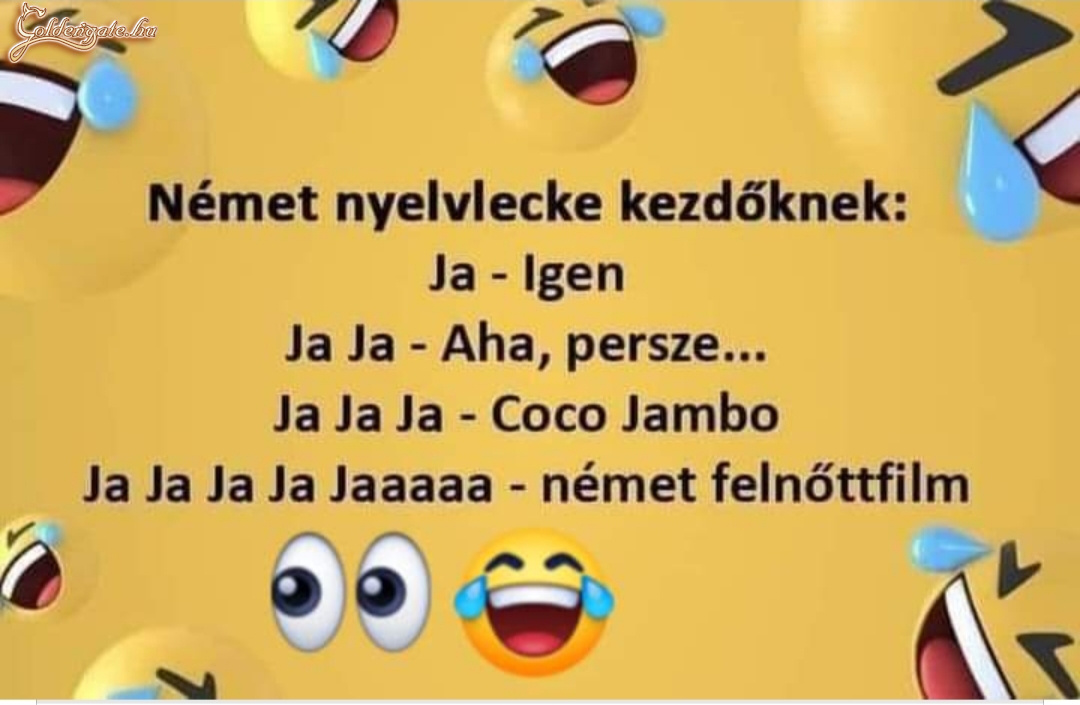 Német nyelvlecke