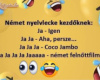 Német nyelvlecke
