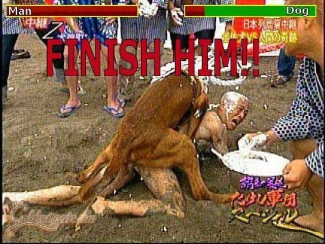 Finish HIM!