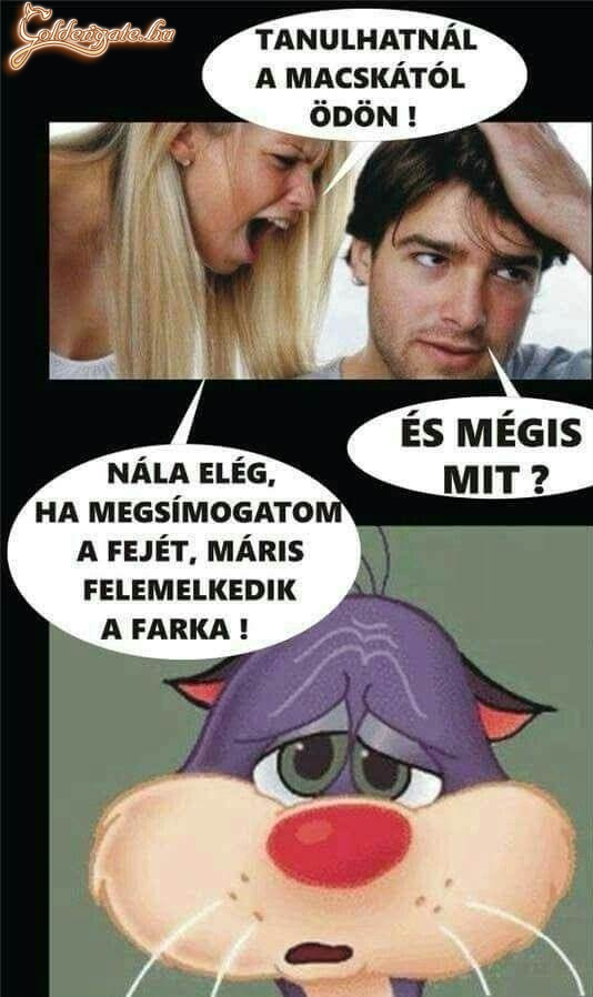 Tényleg!!!