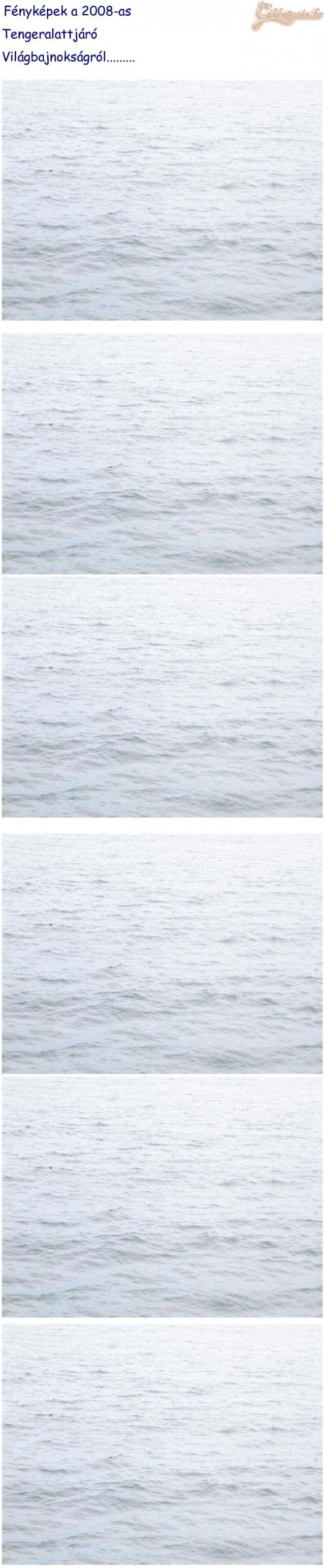 Fényképek a 2008-as tengeralattjáró bajnokságról