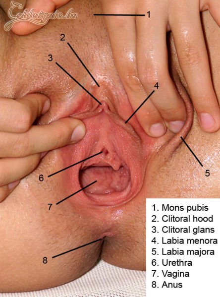 Egy kis tudomány - a tökéletes alanyon!