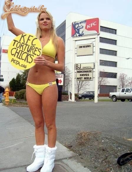 Az ilyen aktivistákat szeretem! :)