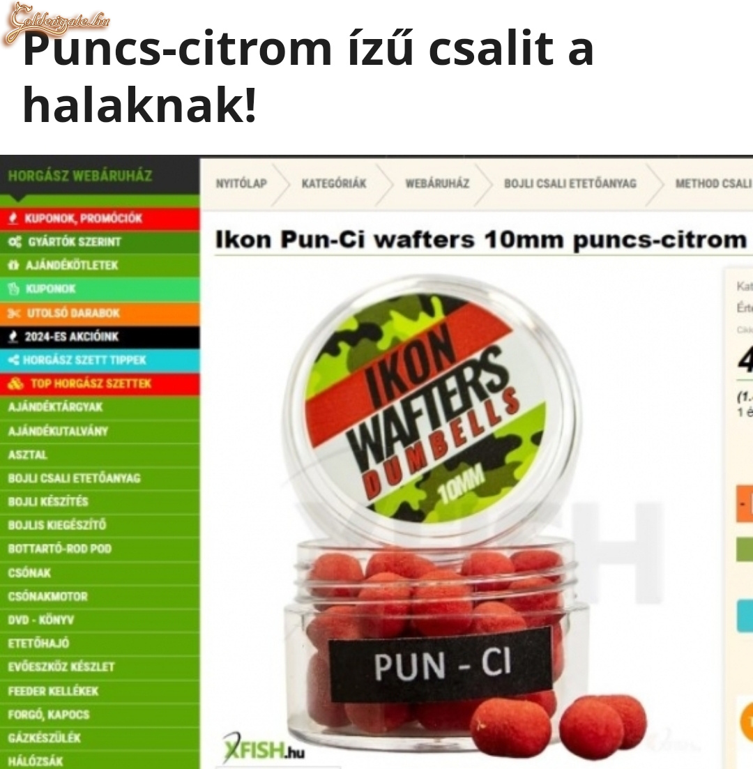 Punci csali