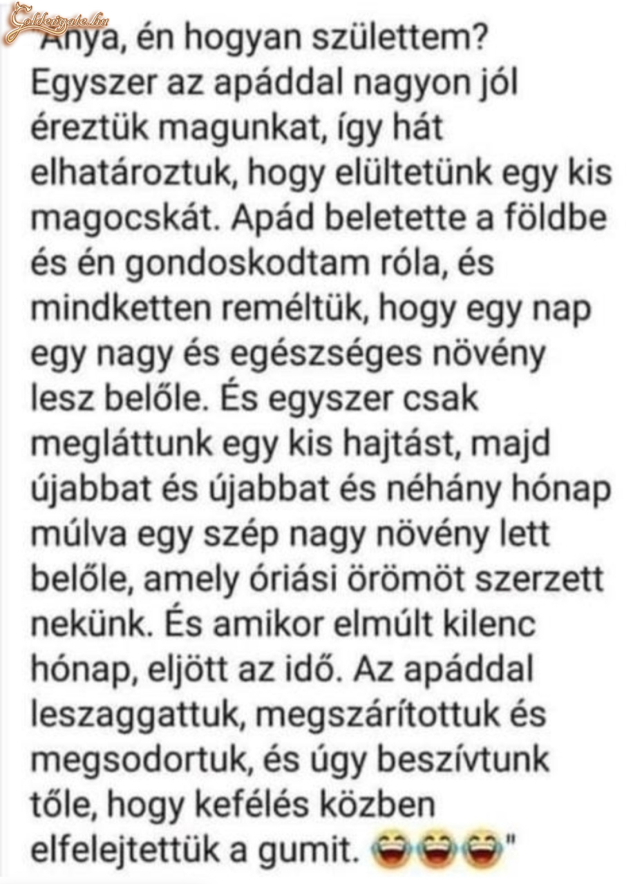 Anya én hogy születtem?