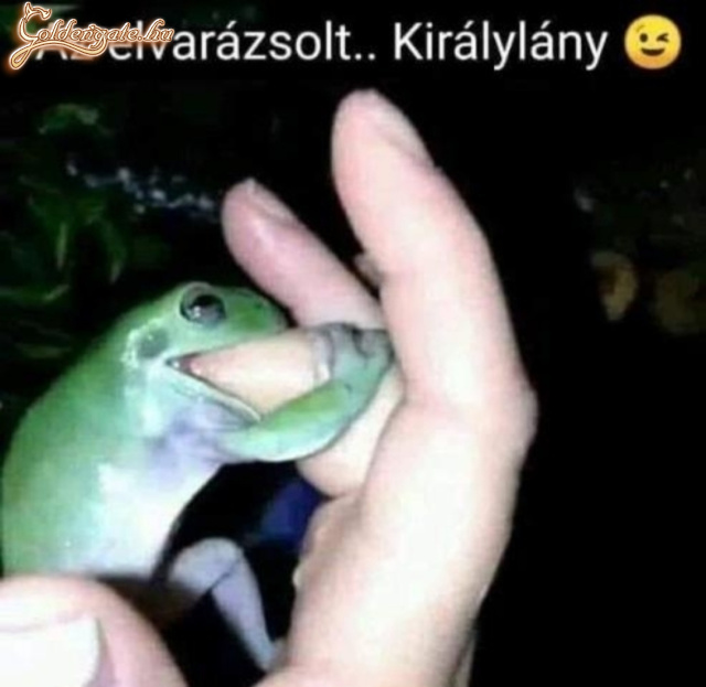 Elvarázsolt királylány