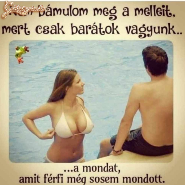 A mondat